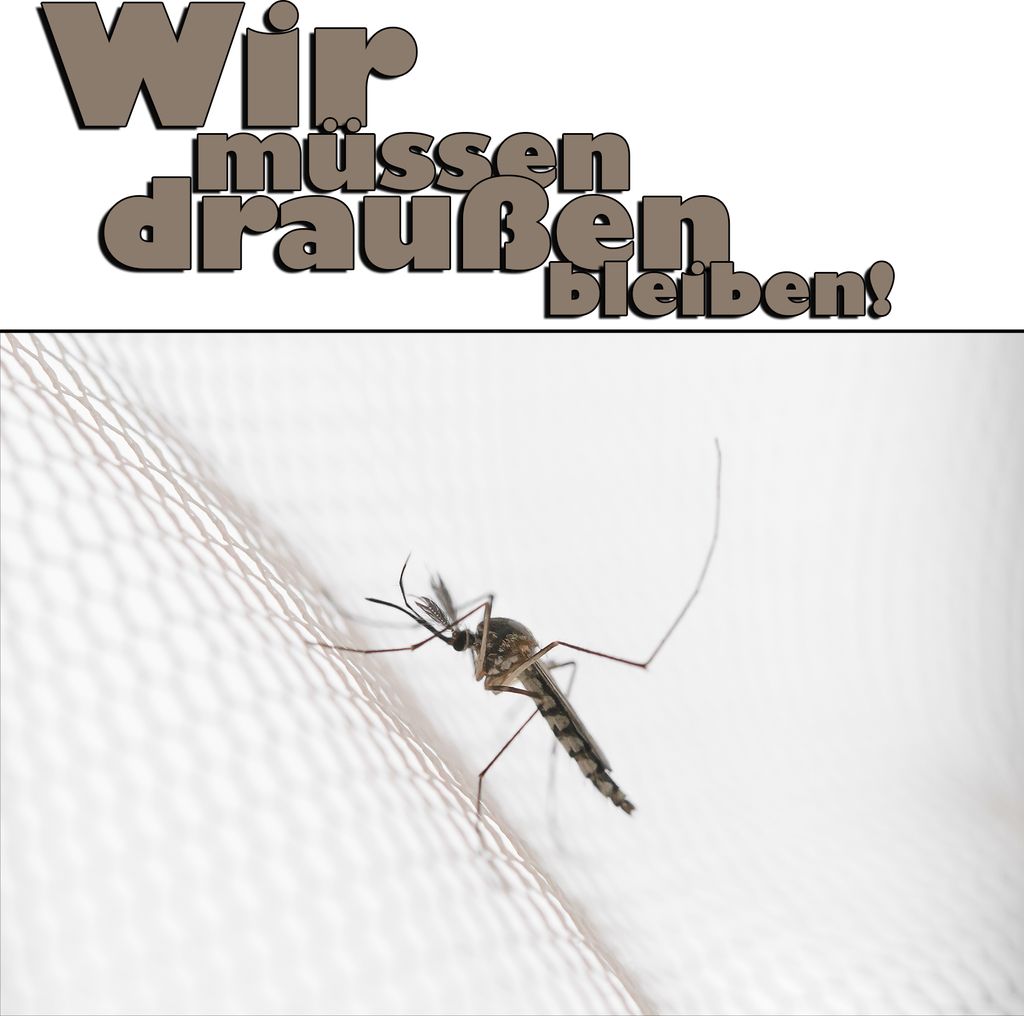 BigDean Moskitonetz für unterwegs & zu Hause – effektiver Produktbild 3
