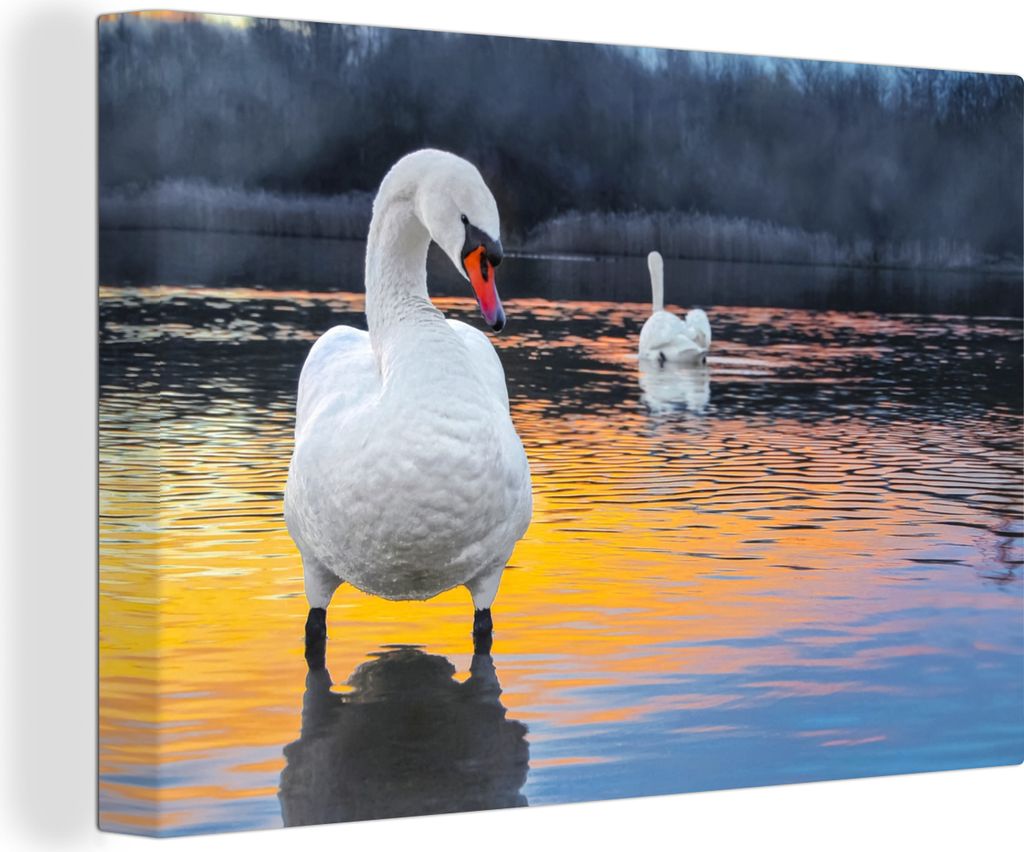 OneMillionCanvasses - Leinwandbilder - 140x90 cm, Schwan - Vogel - Sonnenuntergang - Wasser, Wandbilder Kunstdruck Wanddekoration - Foto auf Lein...