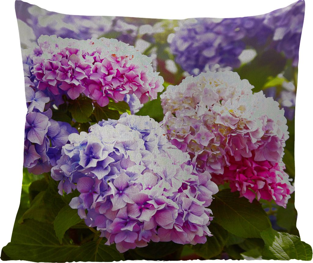 MuchoWow Outdoor Kissen - Blumen - Hortensie - Rosa - Blätter - Sonne - 40x40 cm - Wetterfest - Lounge Kissen - Kopfkissen - Interieur - Polster...