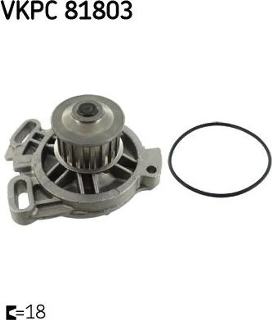 Remplacer Pompe à Eau Transporter IV : SKF VKPC 81803 Qualité Origine