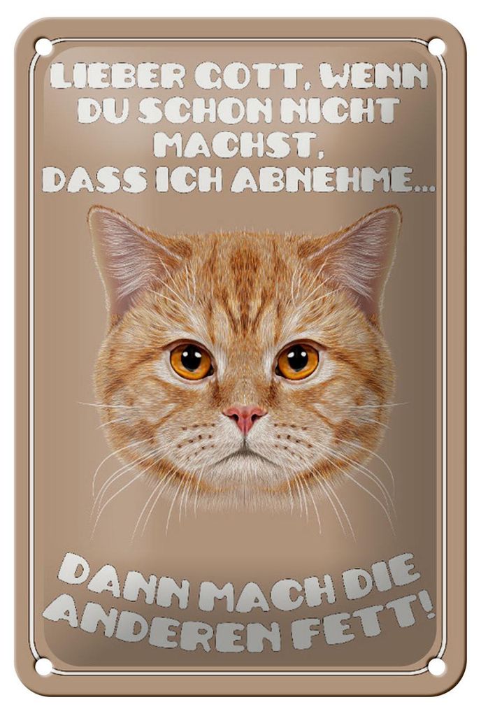 Blechschild Katze 12x18cm lieber Gott wenn du schon nicht