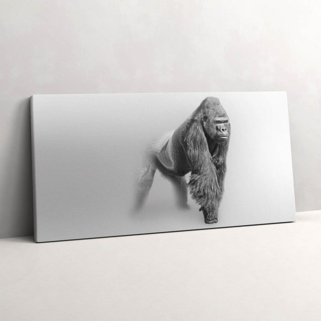 Wildtier-Kunstsammlung – Leinwandbild Wandbild – 100x50 cm – Leinwandbilder – Wandbilder – Schlafzimmer – Flur