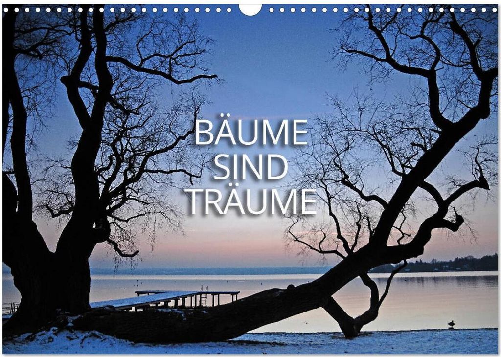 Bäume sind Träume (Wandkalender 2026 DIN A3 quer), CALVENDO Monatskalender