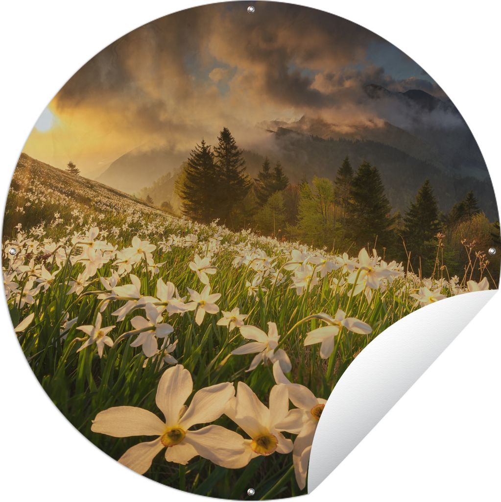 MuchoWow Gartenposter Outdoor-Poster Rund Blumenfeld - Hügel - Sonnenuntergang - Berg - Natur - Weiß - Hügel Ø 90 cm Gartendeko Rundes Poster...