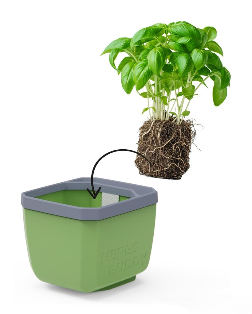 HERBS BUDDY Kräutertopf hellgrau | Kräutertöpfe von Gusta Garden, Menge (Stück):1 Stück