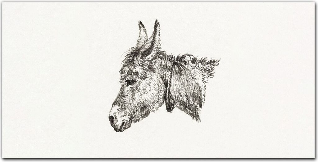 Coloray Bild aus Acryl 140 cm x 70 cm - Wohnzimmer Bild auf Acrylglas Wanddekoration Gehärtetes Acryl Dekoration Küche - Tier Esel