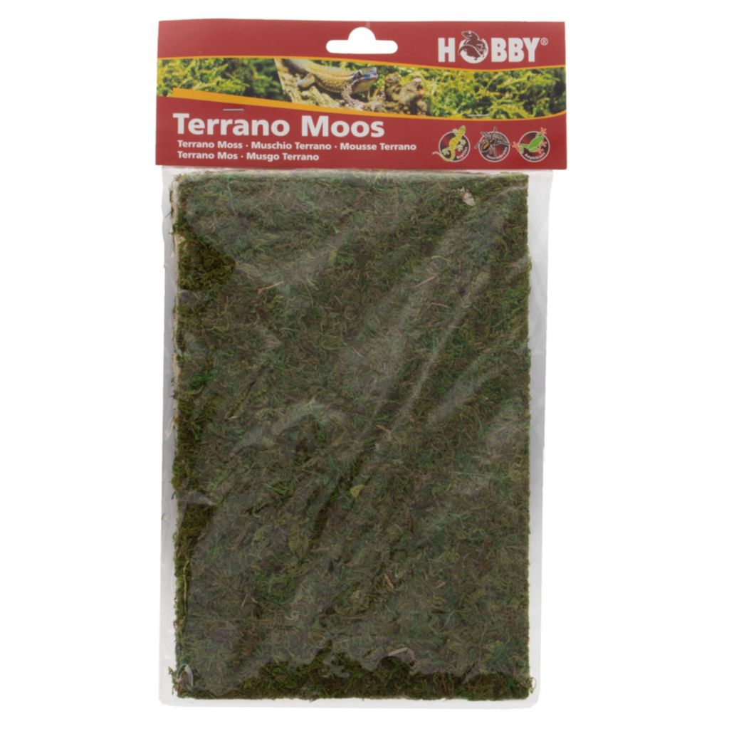 Hobby Terrano Moos Dekoration, 100 g