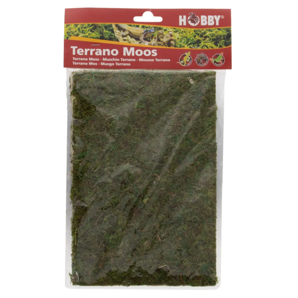 Hobby Terrano Mousse décorative 100 g pour paysagisme et terrariophilie
