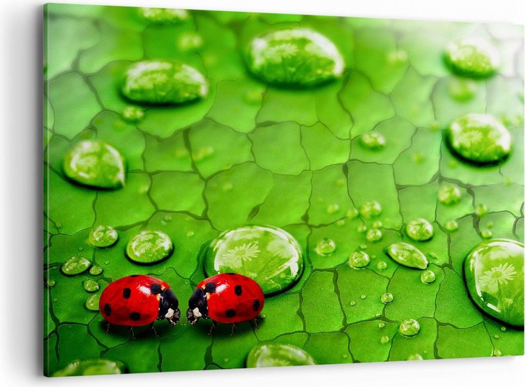 Bild auf Leinwand - Leinwandbild - Marienkäfer Gras Blatt Tropfen - 100x70cm - Wand Bild - Wanddeko - Leinwanddruck - Bilder - Kunstdruck - Wandde...