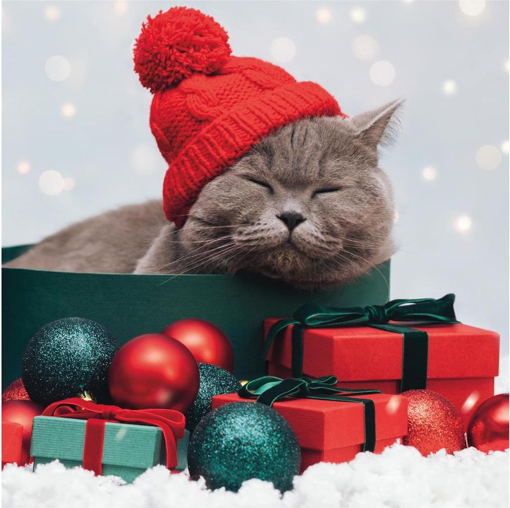 Duni servetten purrfect gifts 33x33cm