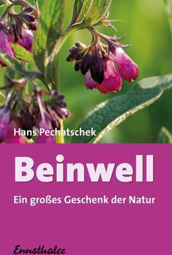 Beinwell