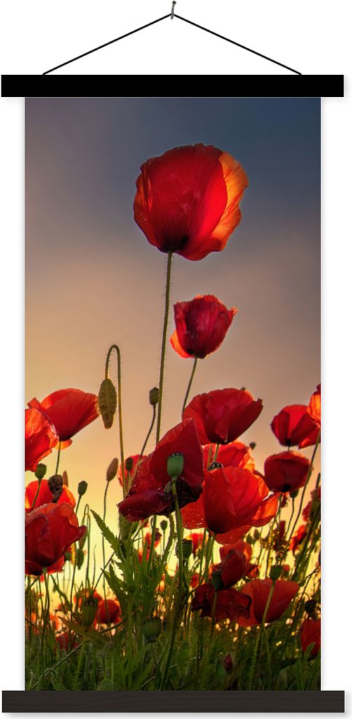 MuchoWow Textilposter Bunter Himmel über einem Mohnblumenfeld in Dänemark 90x180 cm mit schwarzem Rahmen - Dekoration Wohnzimmer