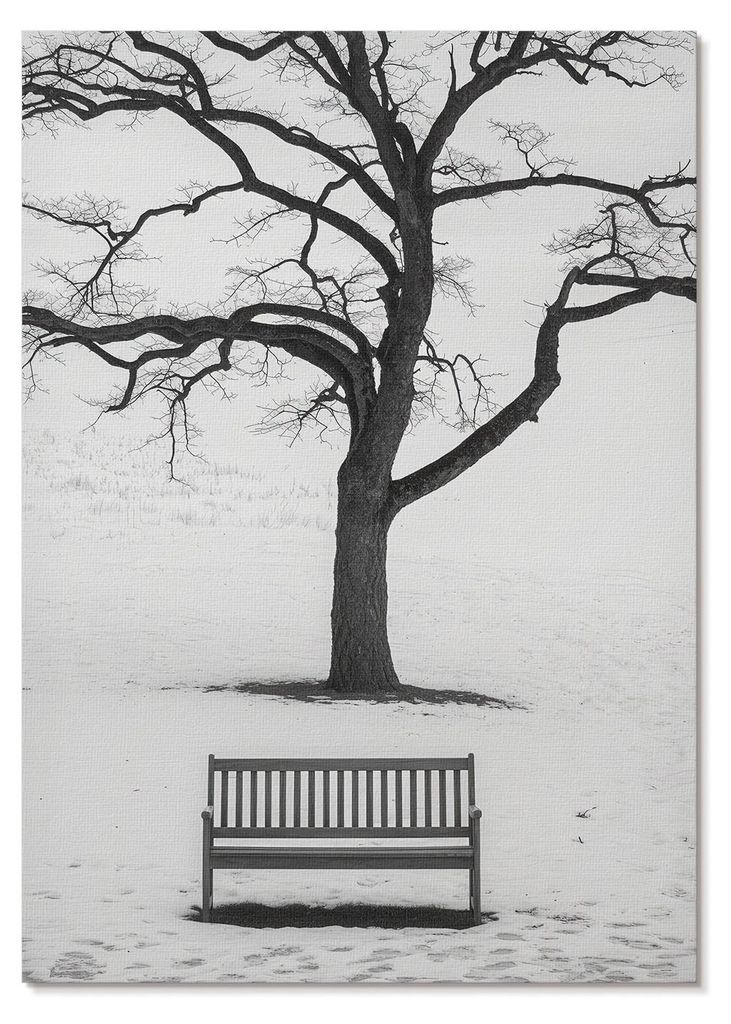 POSTER - 42x59 cm (A2) - Minimum - Minimalistische Landschaft mit einem Baum und einer Bank - Wandbild für Wohnzimmer Schlafzimmer & Flur, Moderne...