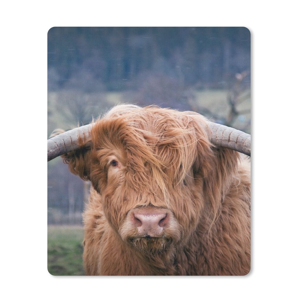 MuchoWow Mauspad Mousepad Schottischer Highlander - Hörner - Berg 19x23 cm - Mousepads - Maus Mat - Pad - Mausunterlage - Mauspads - Spielen