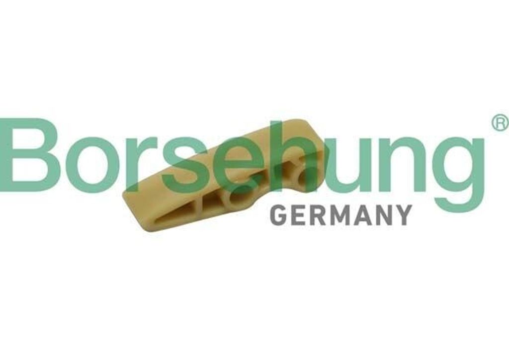 Borsehung Gleitschiene Steuerkette B1G016 für VW Golf V Schrägheck (1K1)