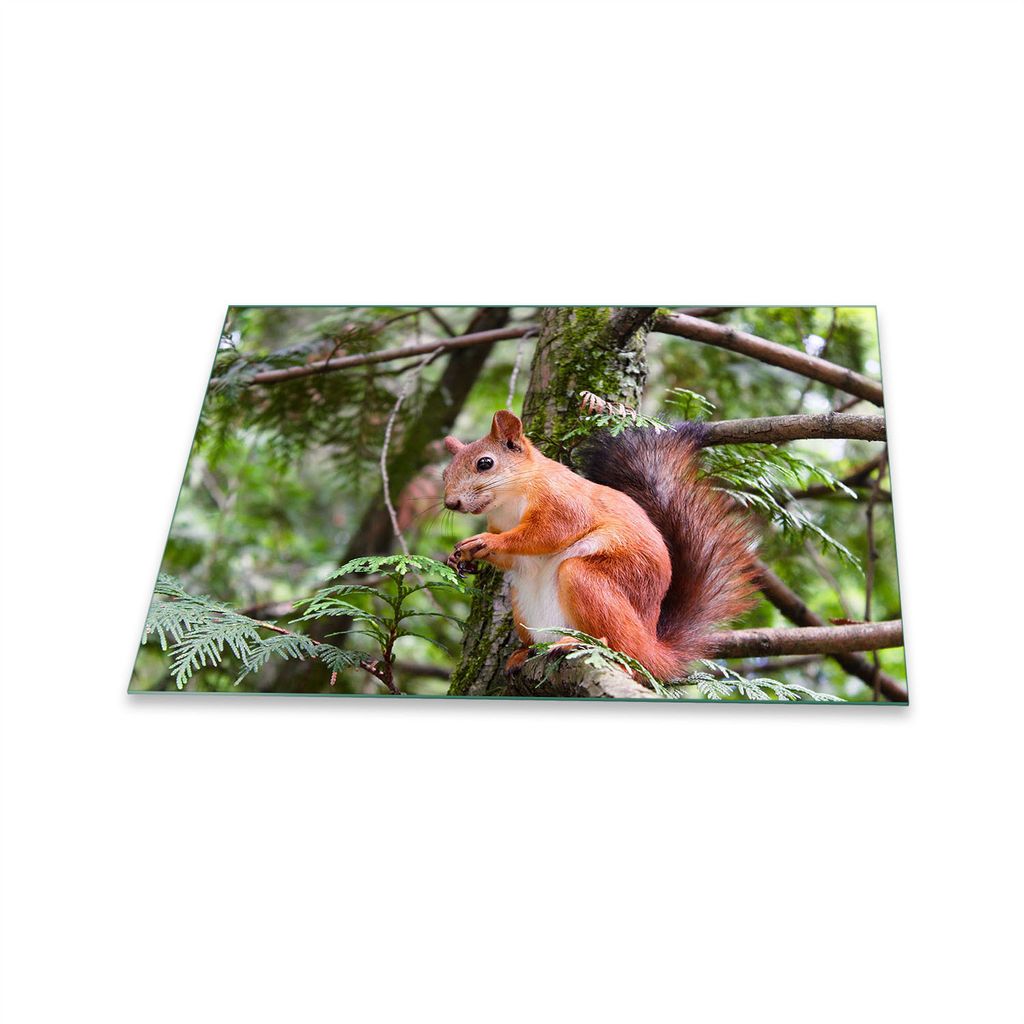 Herdabdeckplatte Glaskeramik 1 Teilig 80x52 Tiere Braun Abdeckung Glas Spritzschutz