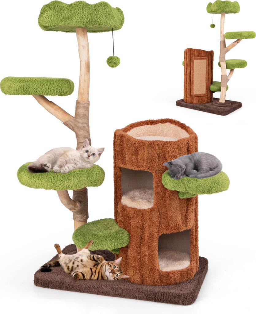 A collection of cat trees and accessories, with cats interacting with them.
