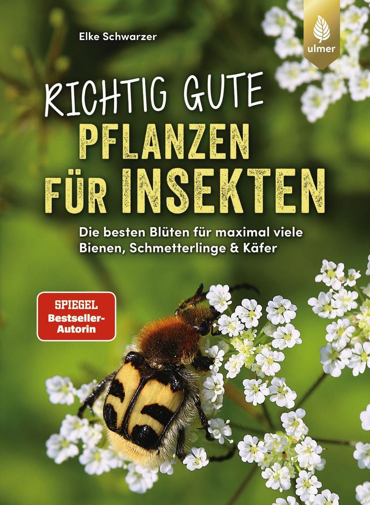 Richtig gute Pflanzen für Insekten: Die besten Blüten für maximal viele Bienen, Schmetterlinge, Schwebfliegen & Käfer im Garten. Mehr Respekt f...
