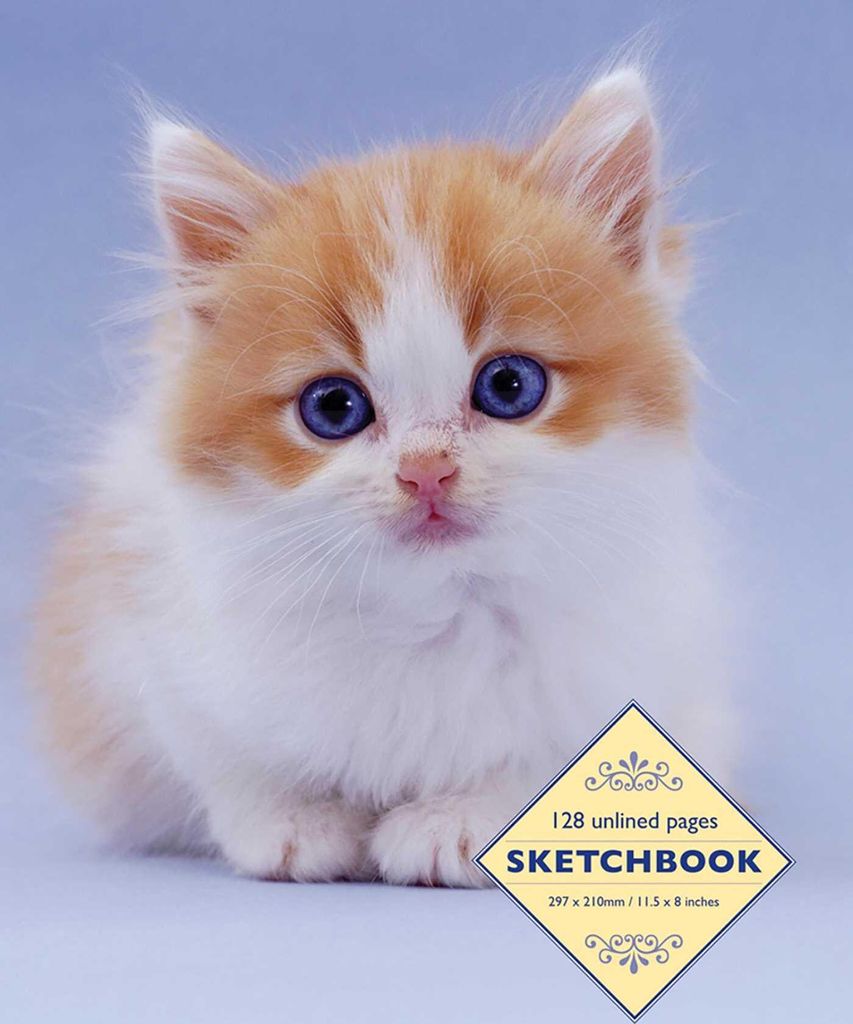 Sketchbook: Kitten