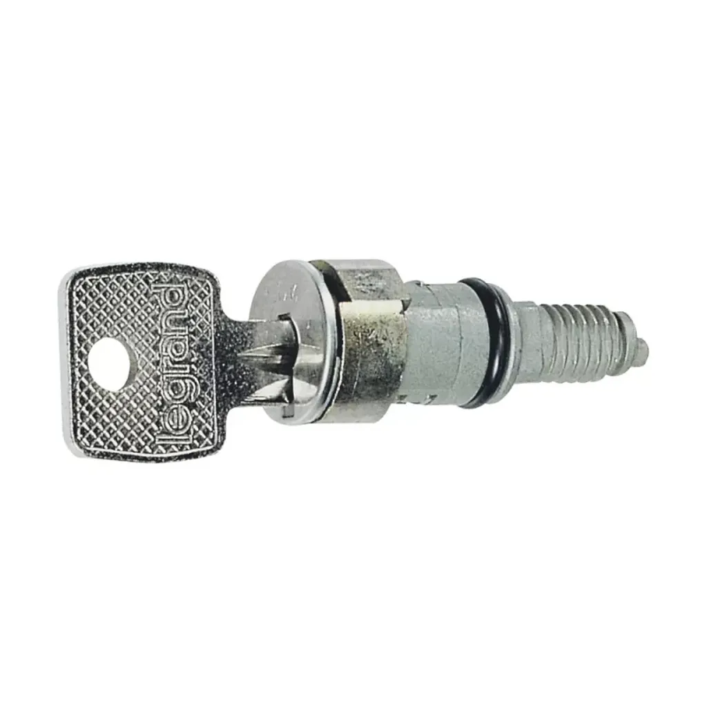 Cylindre Legrand 036822 Clé 405 Haute Résistance pour Serrure de Porte
