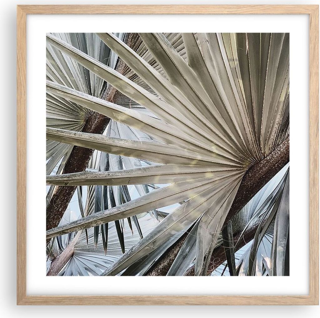 Gerahmtes Poster - Rahmen in heller Eiche - Blatt Palme Natur - 50x50 cm - Wand Bild - Wanddeko - Wandbilder - Kunstposter - Wandposter - Bilderrah...