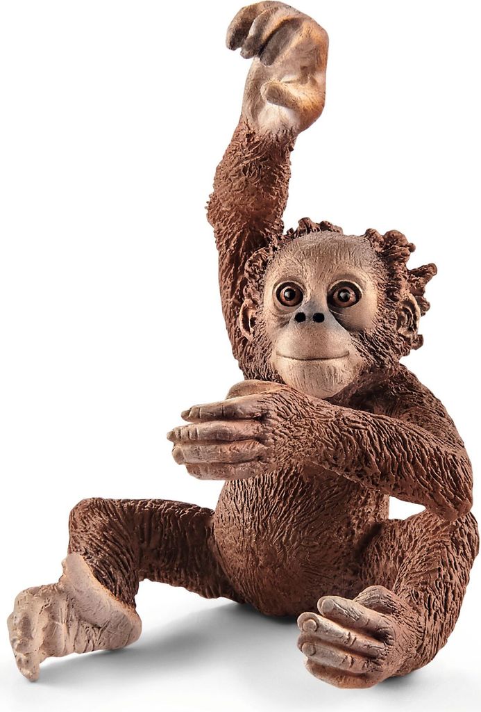 schleich WILD LIFE Orang-utan Junges, 3 Jahr(e), Afrika, Mehrfarbig, Kunststoff
