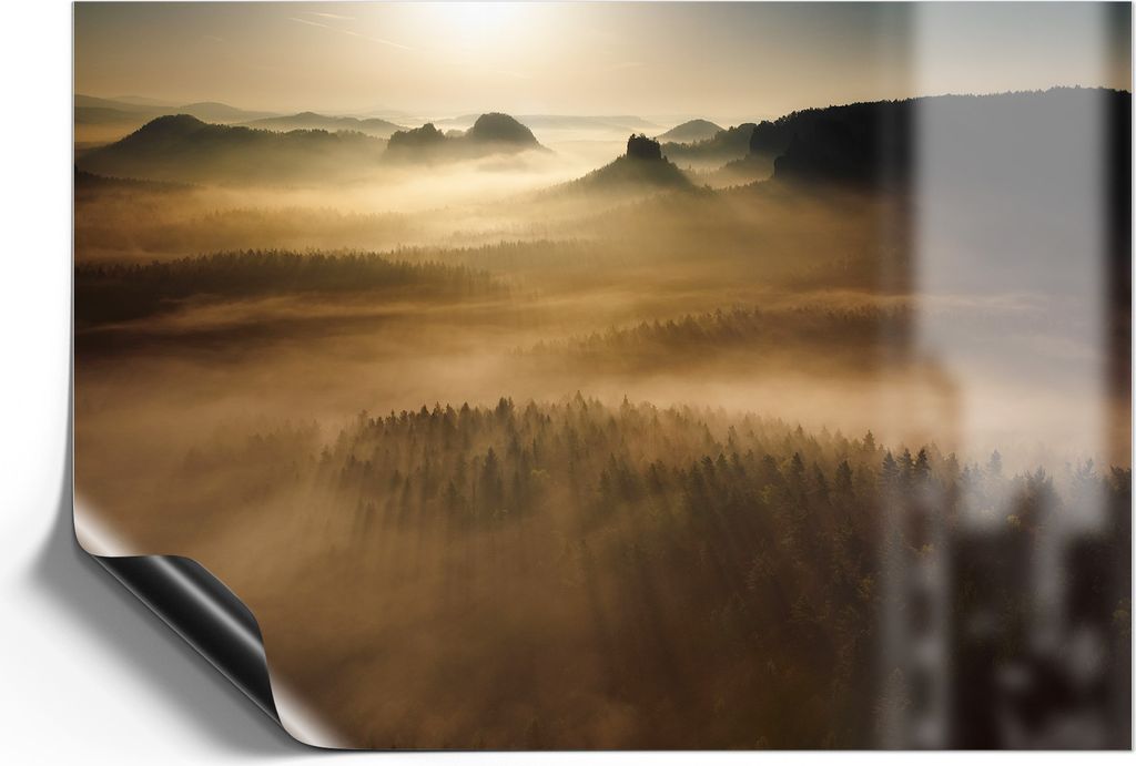 DEQORI Magnetmatte Universal 30x21 cm (A4) 'Goldener Waldhauch' Magnetfolie Kalender Planer