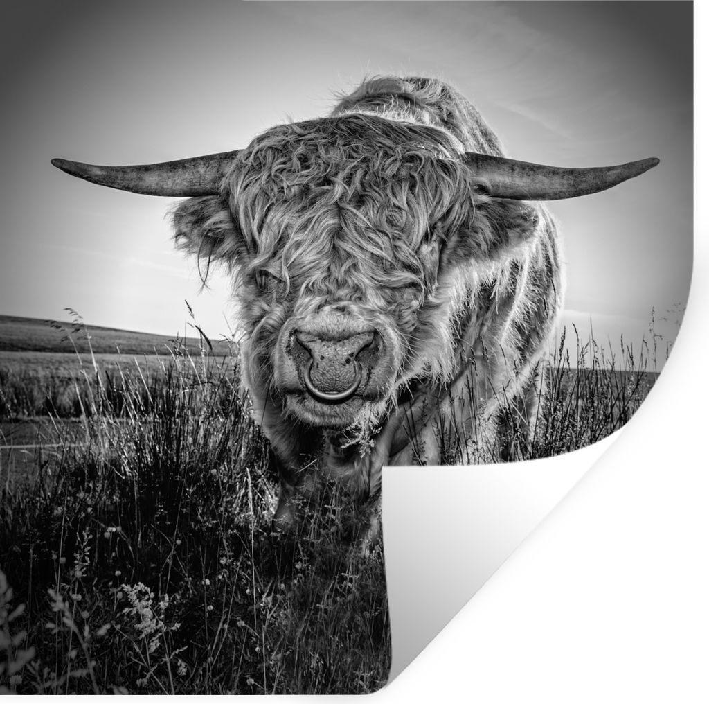 MuchoWow - Wierderverwendbar - Selbstklebend