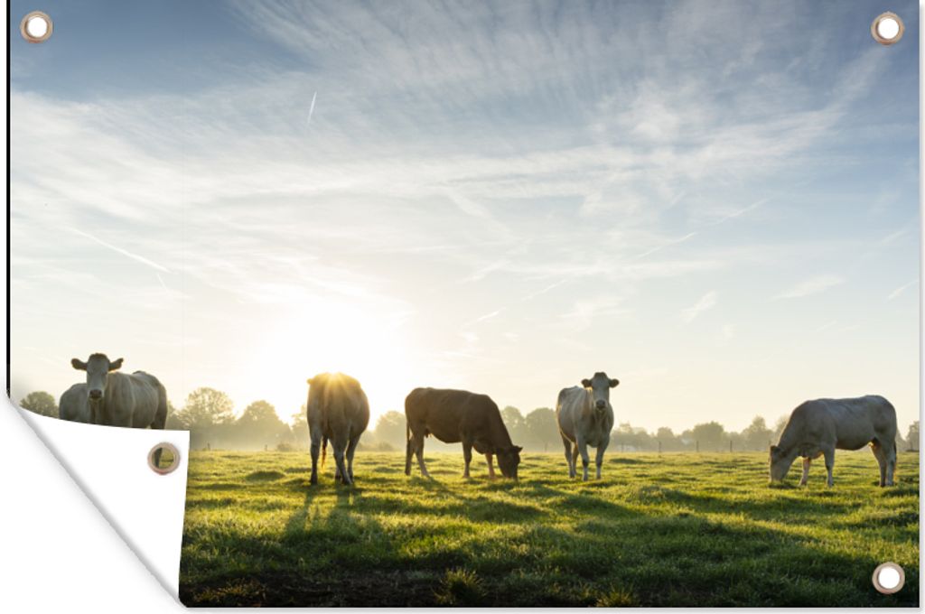 MuchoWow 120x80 cm Outdoor-Poster Gartendeko Sichtschutz Garten Poster für den Garten Kühe - Sonne - Gras