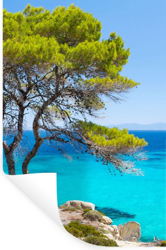 MuchoWow Wandtattoo Wandsticker Wandaufkleber Baum - Meer - Tropisch - Sommer 40x60 cm Selbstklebend und Repositionierbar - Wierderverwendbar - S...