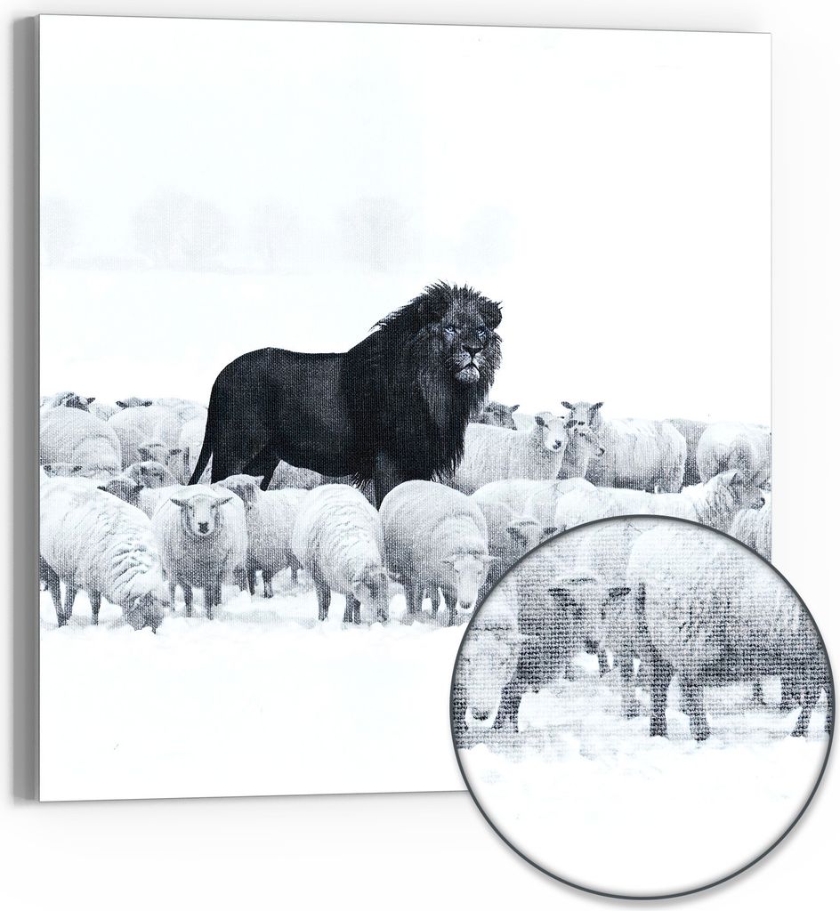 DEQORI Hybrid Leinwand Bild 30x30 cm 'König der Herde' Wandbild Glas flach modern