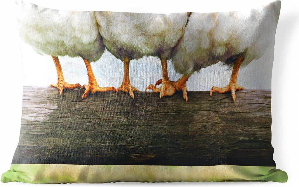 MuchoWow Outdoor Kissen - Foto Hühnerbeine drucken - 50x30 cm - Wetterfest - Lounge Kissen - Sofa kissen - Wohnzimmer Dekoration