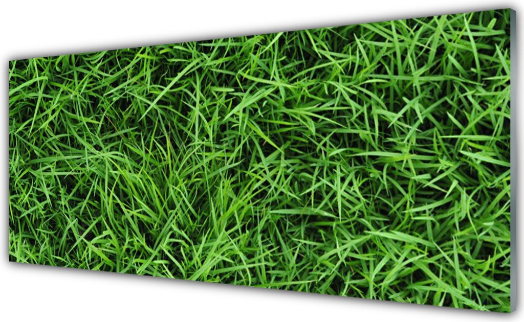 Küchenrückwand aus Glas 125x50cm Spritzschutz Gras Rasen Pflanzen