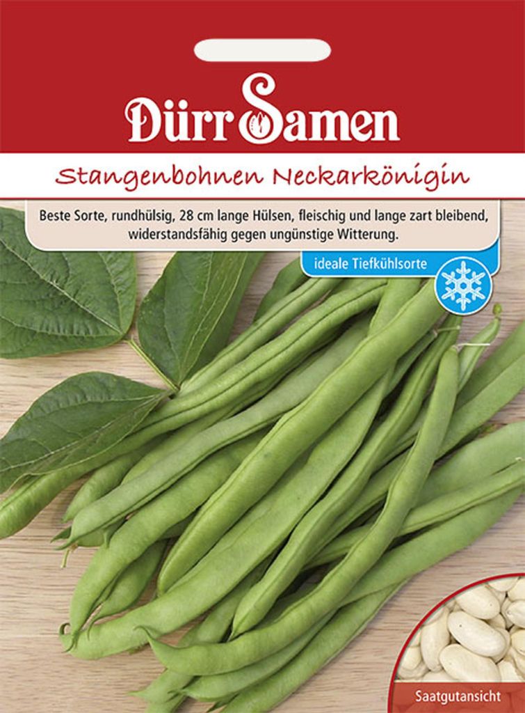 Dürr-Samen - Stangenbohnen Neckarkönigin - Saatgut - 0315 Produktbild 