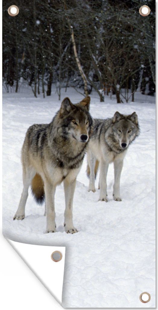 MuchoWow 40x80 cm Outdoor-Poster Gartendeko Sichtschutz Garten Poster für den Garten Wolf - Schnee - Kanada