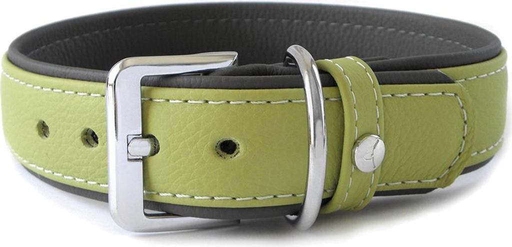 Das Lederband Hundehalsband Amsterdam lime/lava, Länge: 30 cm / Breite: 25 mm