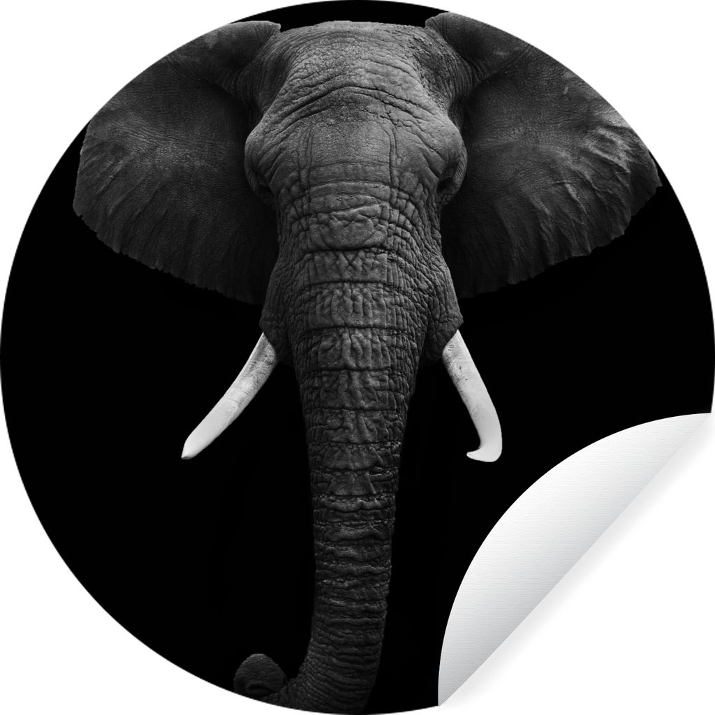 MuchoWow Runde Wandtattoo - Wandsticker Tapete Aufkleber Elefant - Wildtiere - Schwarz - Weiß - Porträt Ø 80 cm Selbstklebend und Repositionie...