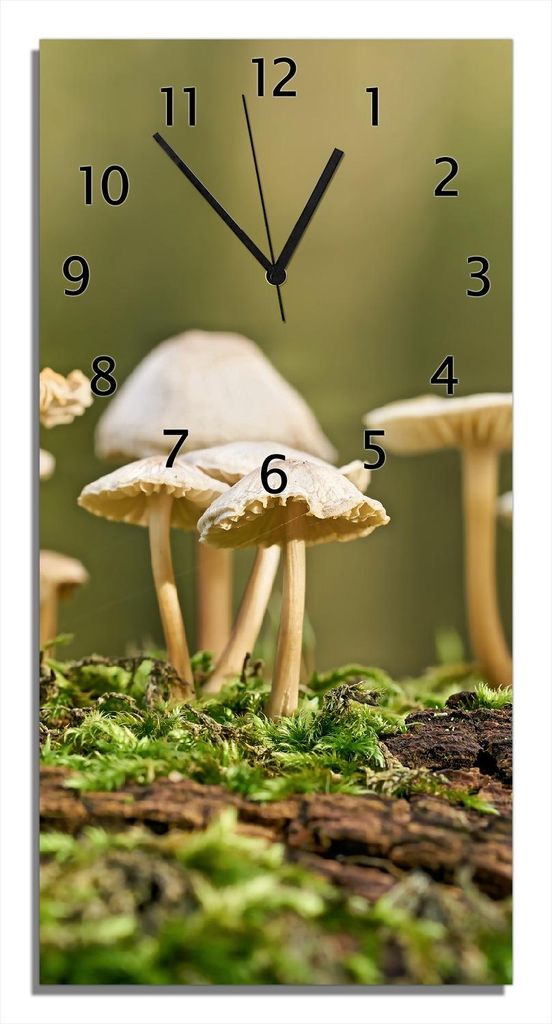 Wallario Design Wanduhr Pilze auf Baumstamm aus Echtglas, Größe 30 x 60 cm
