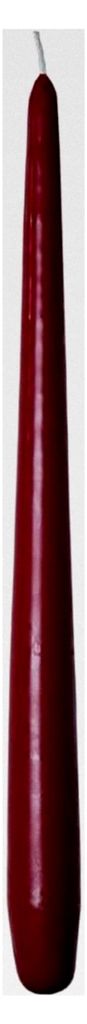 Spitzkerzen | Kerzen | Leuchterkerzen | Halterkerzen | Lange Kerzen | Deko Kerzen | Ø 22 mm x 280 mm | 24 Stück | Brenndauer ca. 10 Std. | (Borde...