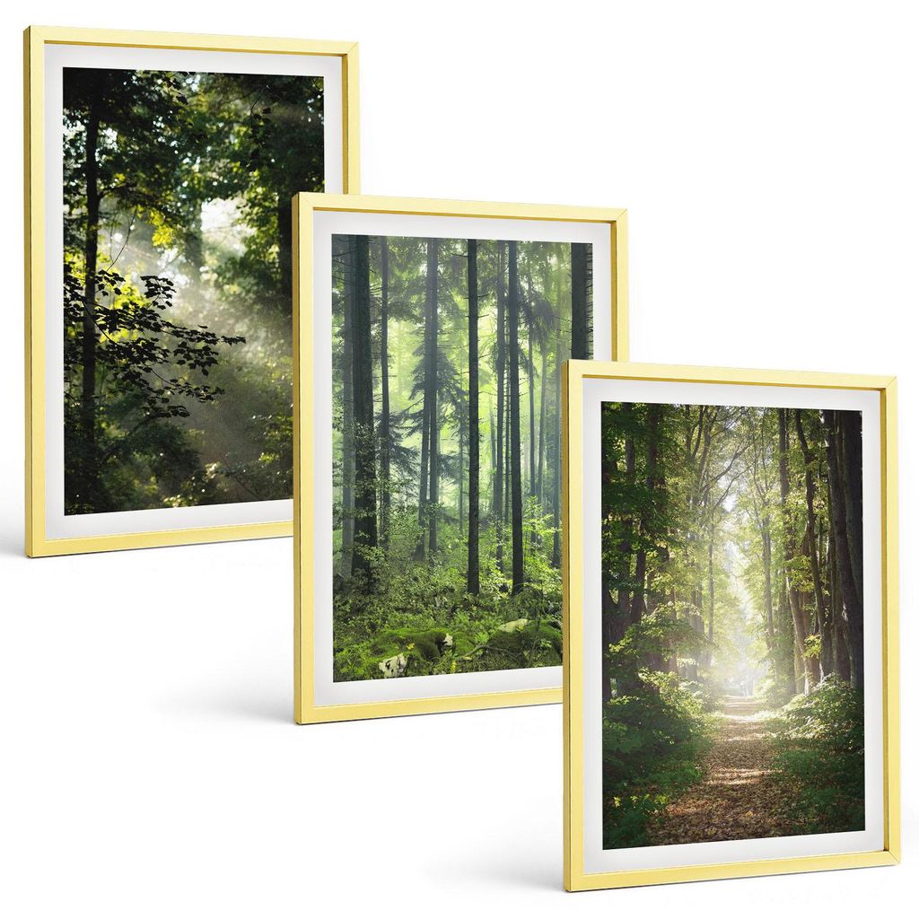 Bilder Set 3-teilig im Goldrahmen Rahmen – Wandbilder 3 Stück – gerahmte Poster für Wohnzimmer, Schlafzimmer und Flur – 40x60 cm – Grüne...