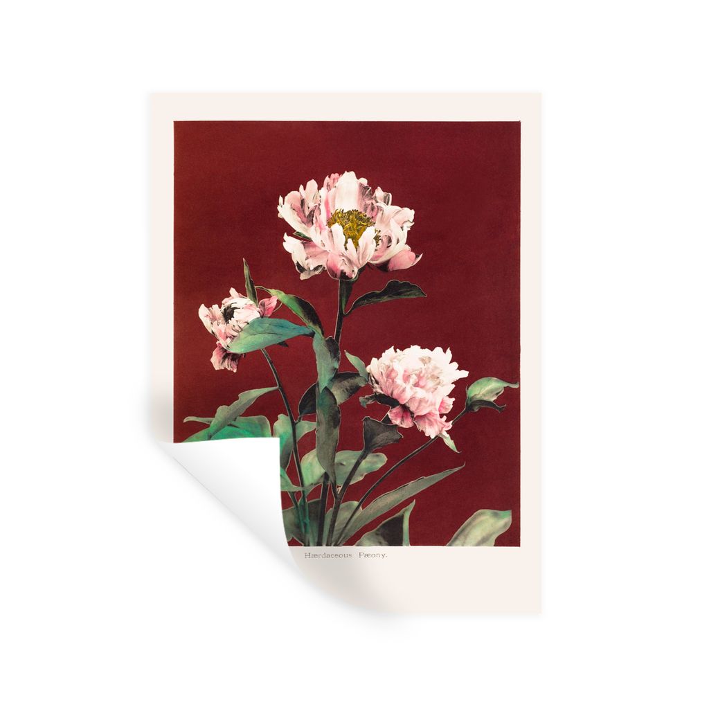 MuchoWow Wandtattoo Wandsticker Wandaufkleber Blumen - Pflanzen - Farben - Rot - Vintage 30x40 cm Selbstklebend und Repositionierbar - Sticker - ...
