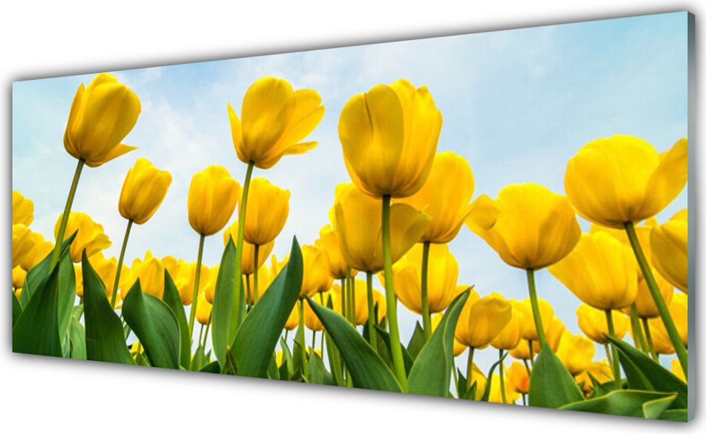 Acrylglasbilder 125x50 Wandbild Druck Tulpen Pflanzen