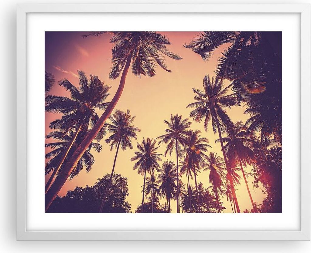 Gerahmtes Poster - Weißer Rahmen - Palmen Himmel Sonne - 50x40 cm - Wand Bild - Wanddeko - Wandbilder - Kunstposter - Wandposter - Bilderrahmen - ...