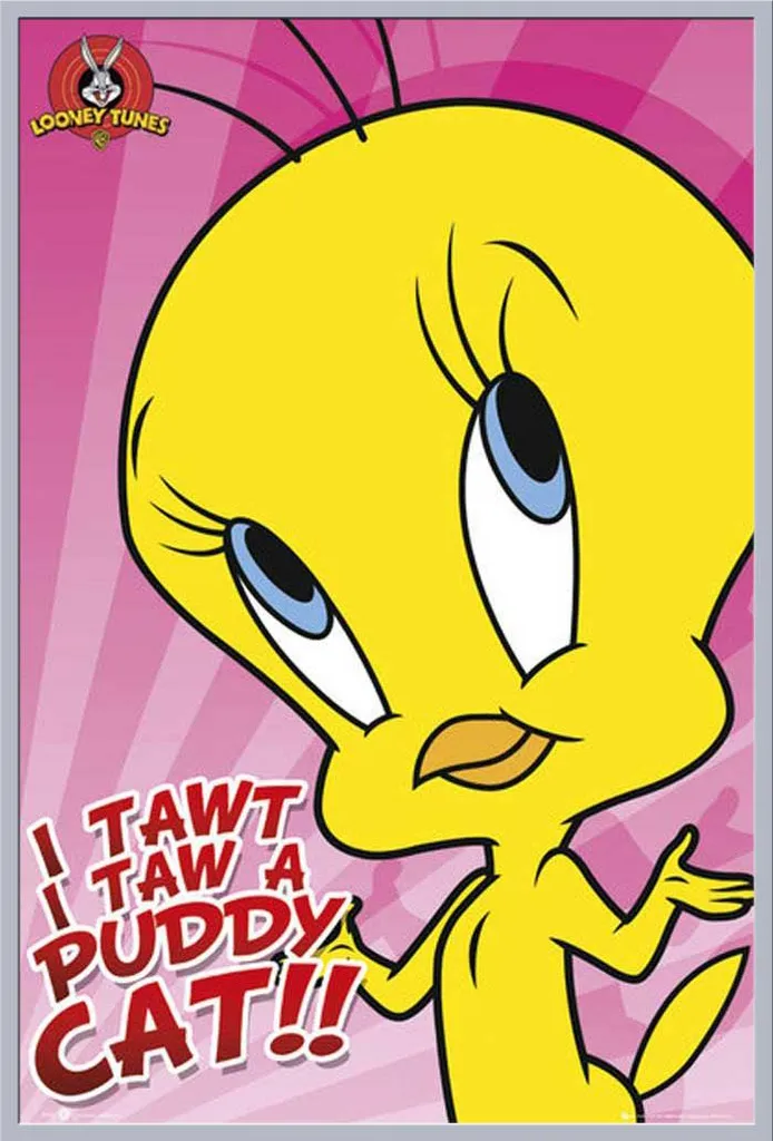 Décoration Murale Titi Looney Tunes : Poster Encadré Argenté et Acrylique