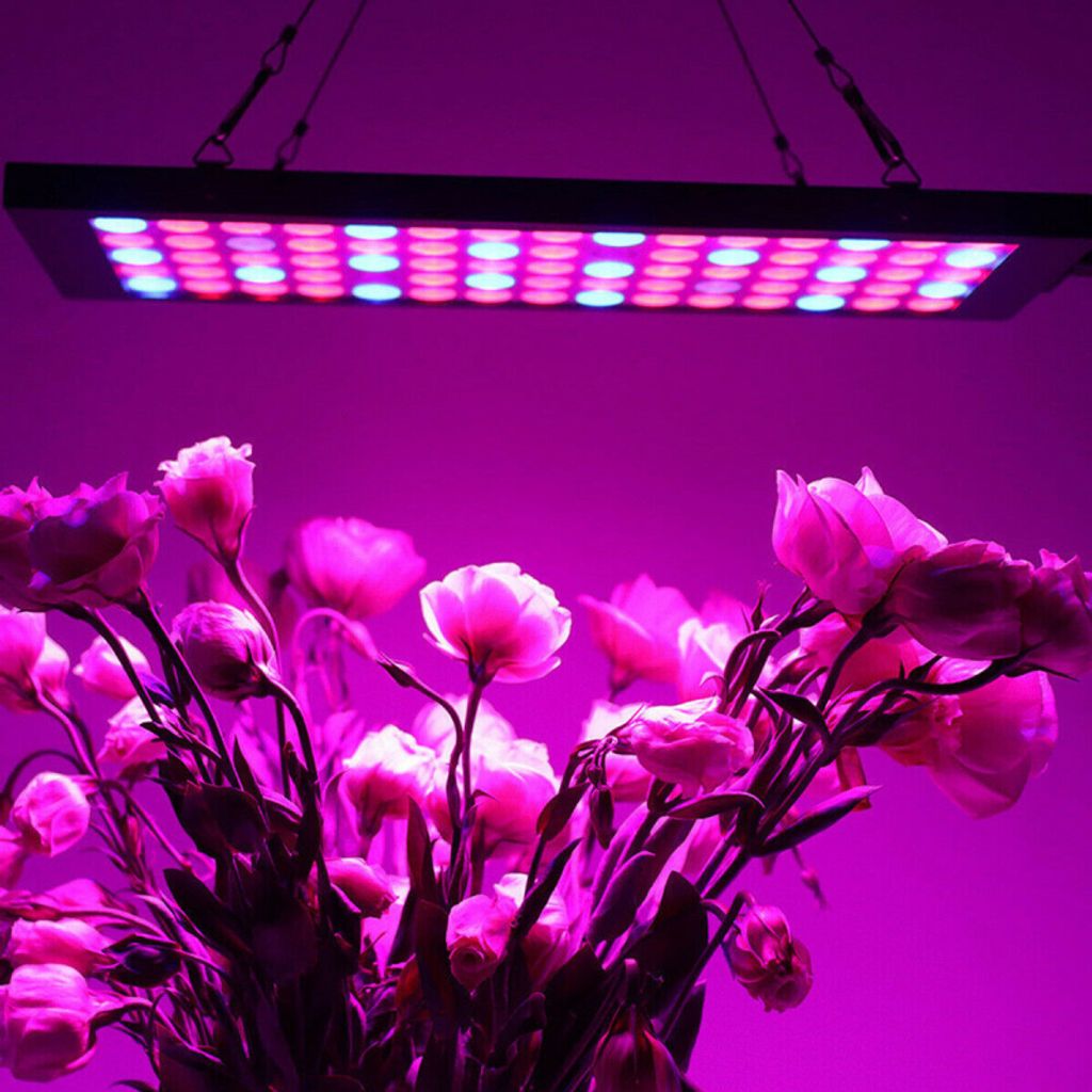 600W LED Pflanzenlampe Grow Light Pflanzenlicht Zimmerpflanzen Wachstumslampe PW 