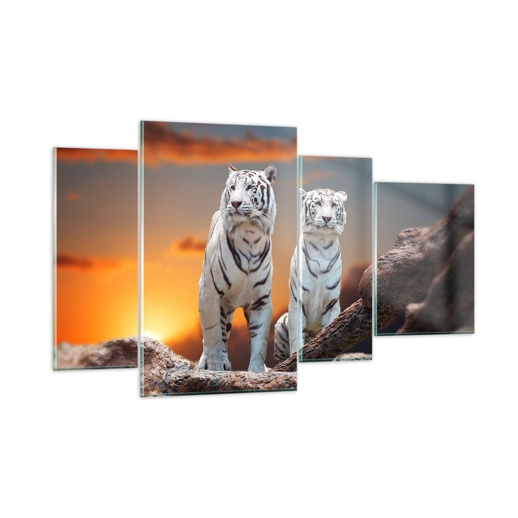 Bilder auf glas - Tiger weiß Rock Sonnenuntergang - 120x70cm - Glasbilder - Wandbilder - Kunstdruck - zum Aufhängen bereit - Wanddekoration aus G...