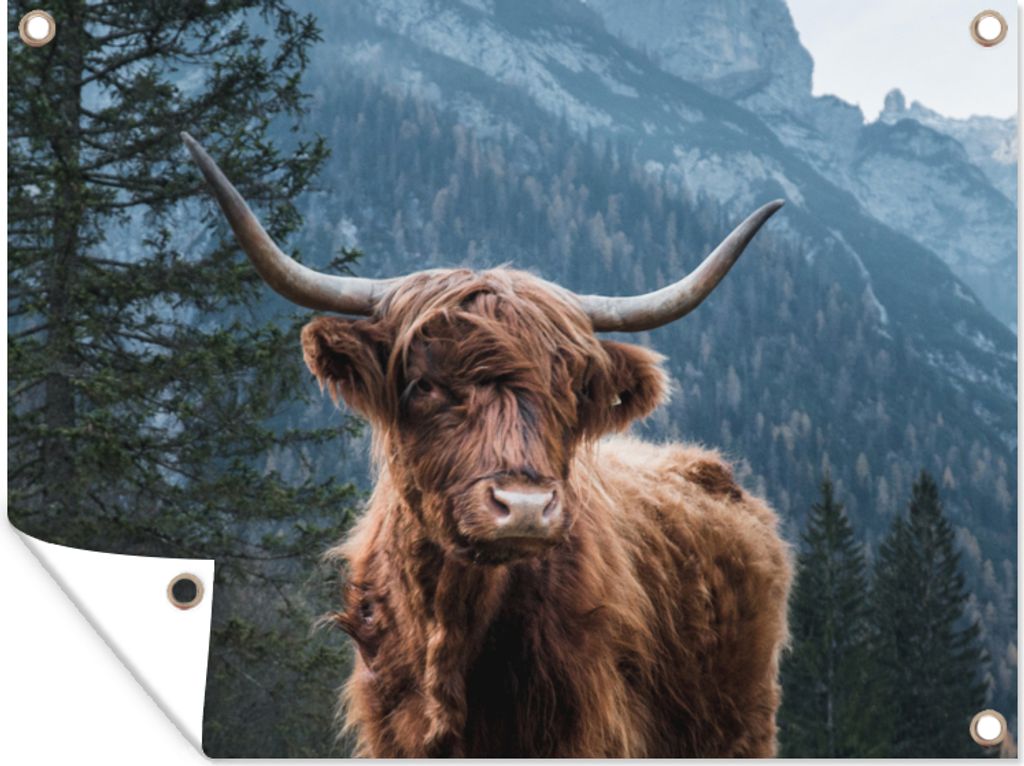MuchoWow 40x30 cm Outdoor-Poster Gartendeko Sichtschutz Garten Poster für den Garten Schottische Highlander - Wald - Berge