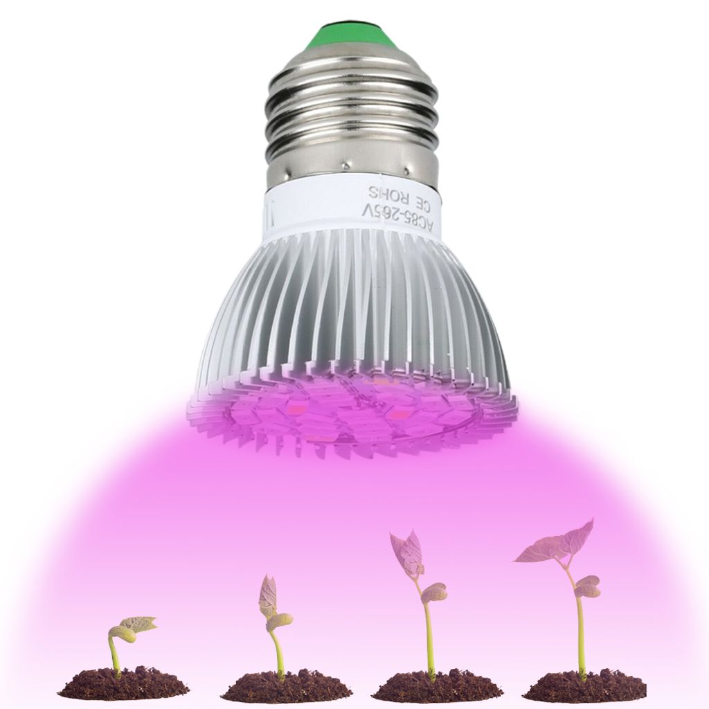 A grow light bulb illuminating four stages of plant growth from seedling to a small plant.