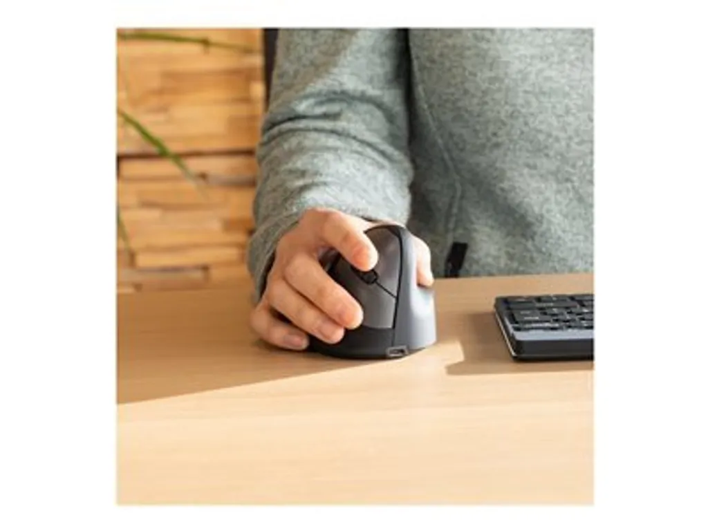 Souris Ergonomique Verticale R-Go Break Sans Fil pour Grande Main Noire