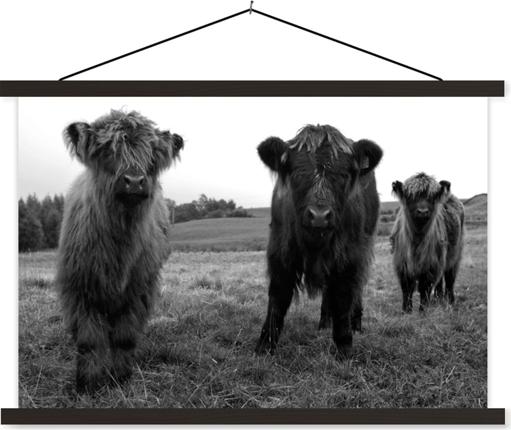 MuchoWow Textilposter Schottische Hochlandrind - Kühe - Natur - Grün - Gras 120x80 cm mit schwarzem Rahmen - Wanddeko